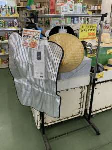 秋バレイショ・健康野菜が入荷しております‼️