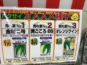 農業屋の野菜種！