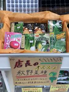 店長のおすすめ種の紹介です