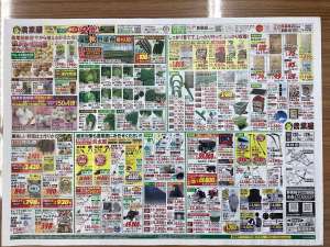 秋の野菜づくりの準備はお済みですか？