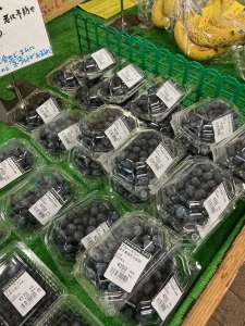 今期初入荷‼️