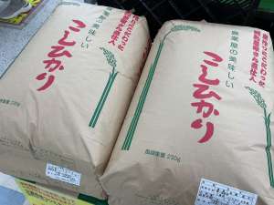 ✨新米✨入荷✨