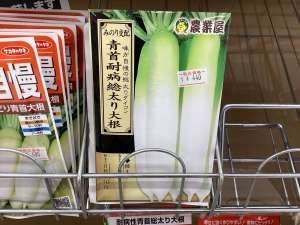 大根の種まいてみませんか？