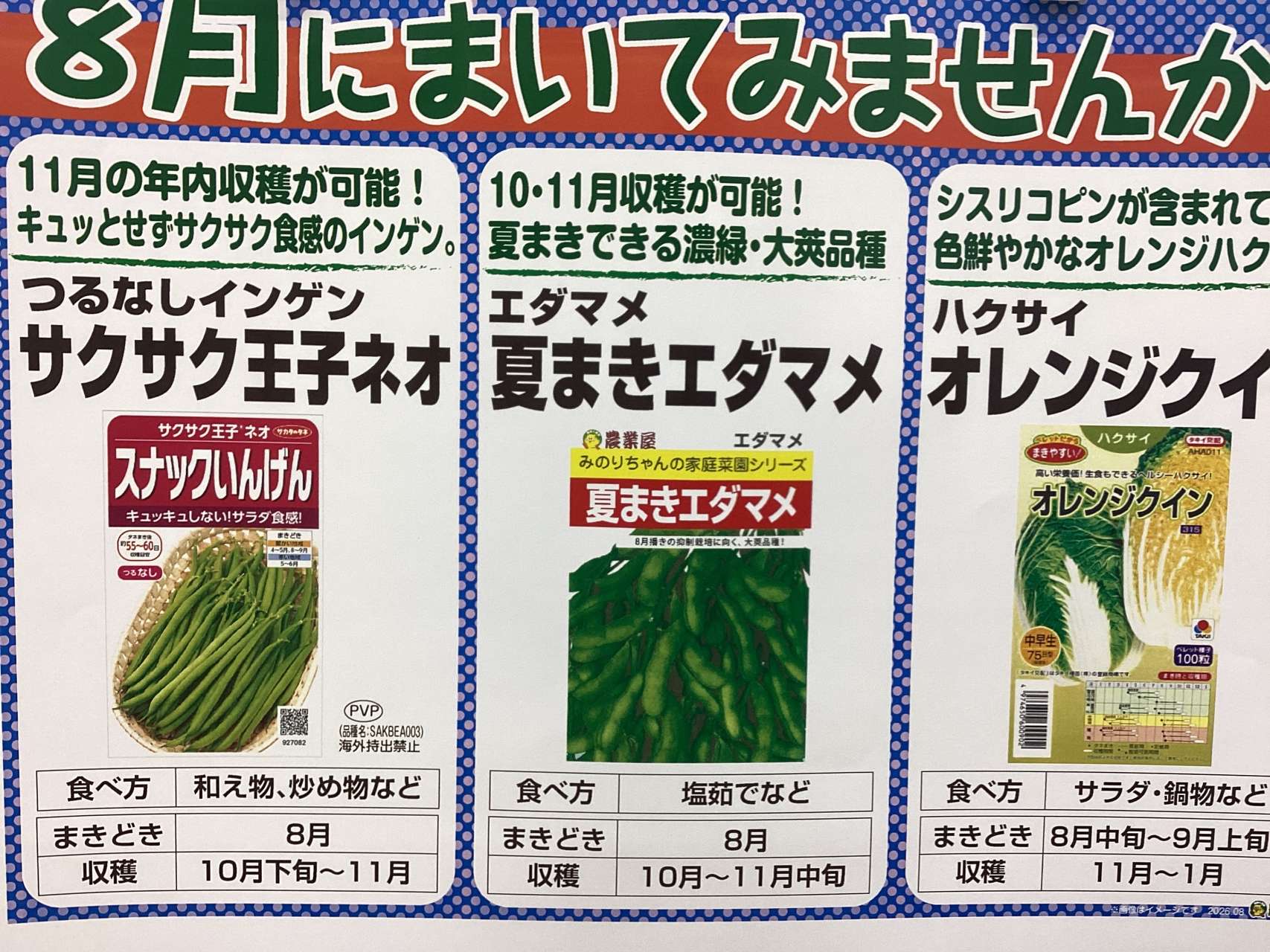 【inokana様】専用・緑360g×2≪追加購入特割特価≫ 8月のおすすめ種🌱
