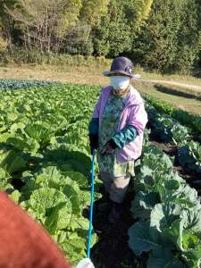農家さん紹介第三弾🧑‍🌾
