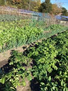 農家さん紹介第五弾🧑‍🌾