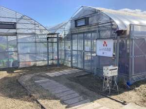 農家さん紹介第9弾🧑‍🌾