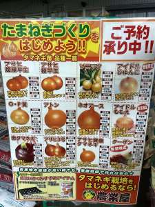 玉ねぎ苗予約受付中‼️