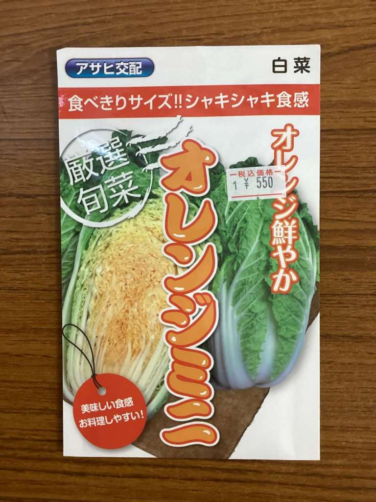 ミニハクサイの種子の紹介❗️