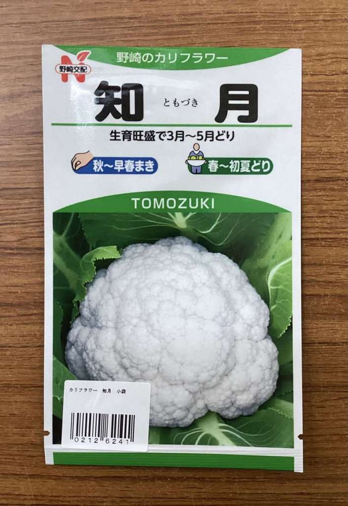 【種紹介】まだまだ播ける！カリフラワーの知月（ともづき）の紹介❗️