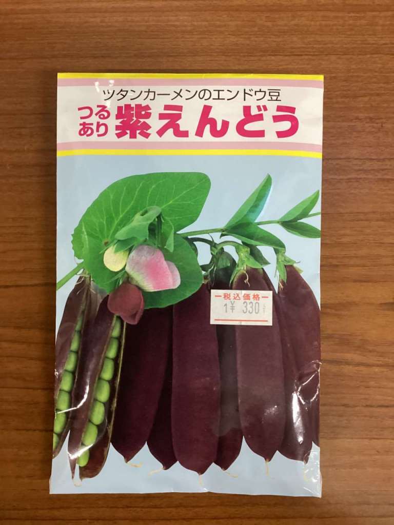 【種紹介】ツタンカーメンの墓から発見されたロマン溢れるエンドウ豆！紫エンドウ！