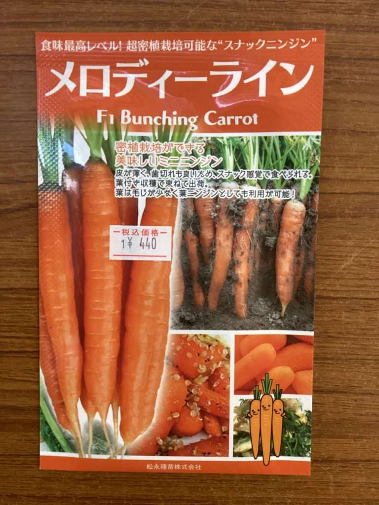 【種紹介】超密植栽培ができる美味しいニンジン🥕メロディーライン‼️