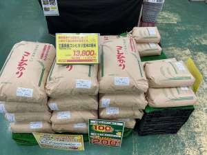 新米入荷開始！！