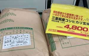 玉ねぎ苗ご予約受付中