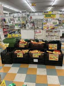 秋のバレイショ🥔販売中‼️