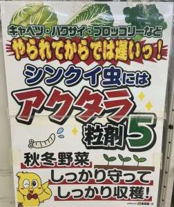秋野菜の虫対策にはアクタラを！