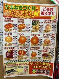 玉ねぎ苗予約注文受付中