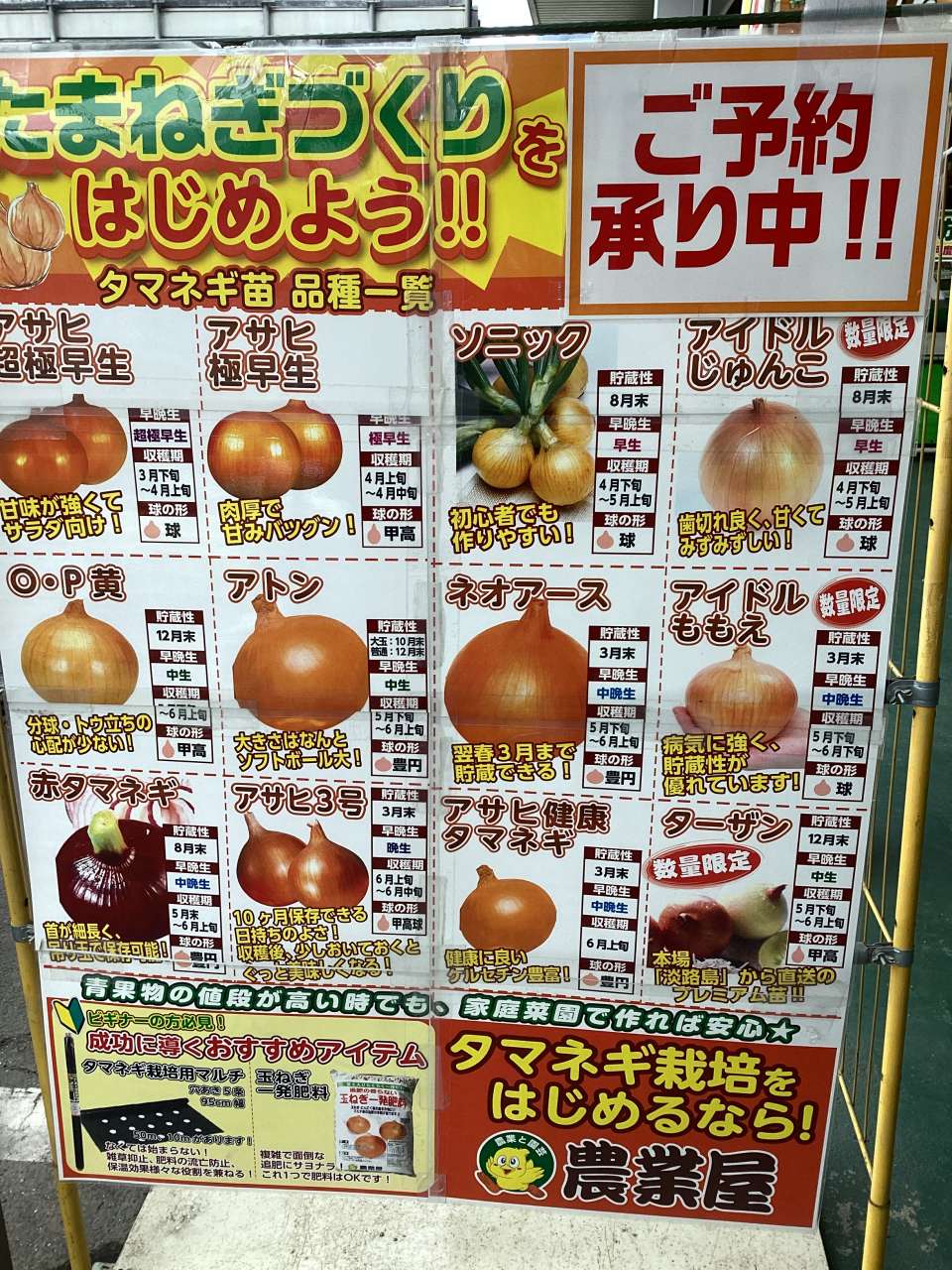 タマネギ苗予約受付中！！