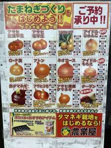 タマネギ苗予約スタート🧅🧅🧅🧅🧅
