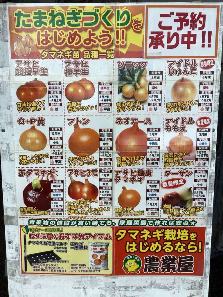 🧅{タマネギ苗予約受付中❕)