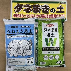 長雨は種まきチャンス！