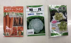 ９月まきができる種子オススメ3選