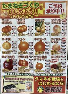 タマネギ苗、まだまだ予約受付中！