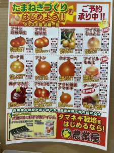 玉ねぎ苗の予約承り中です！