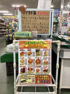 タマネギ苗注文受付中‼️