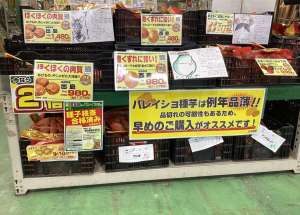 じゃがいもまだありますよ