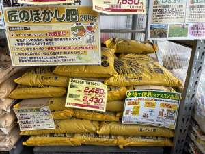 微量要素は「入れる」だけではダメ？ダイコンのホウ素欠乏から考える土づくり！