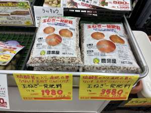 晩生タマネギ、収穫後に腐ってしまったことはありませんか？