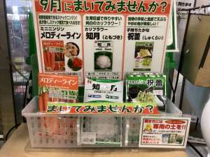 ９月にオススメの野菜種子