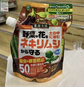 秋野菜に植えるまえに