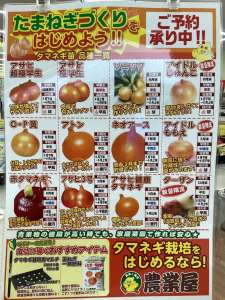 玉ねぎ苗の予約受付中です！