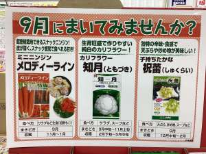 9月にまける種子のご紹介❗️