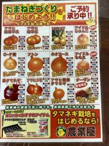 タマネギ苗のご予約始まりました！