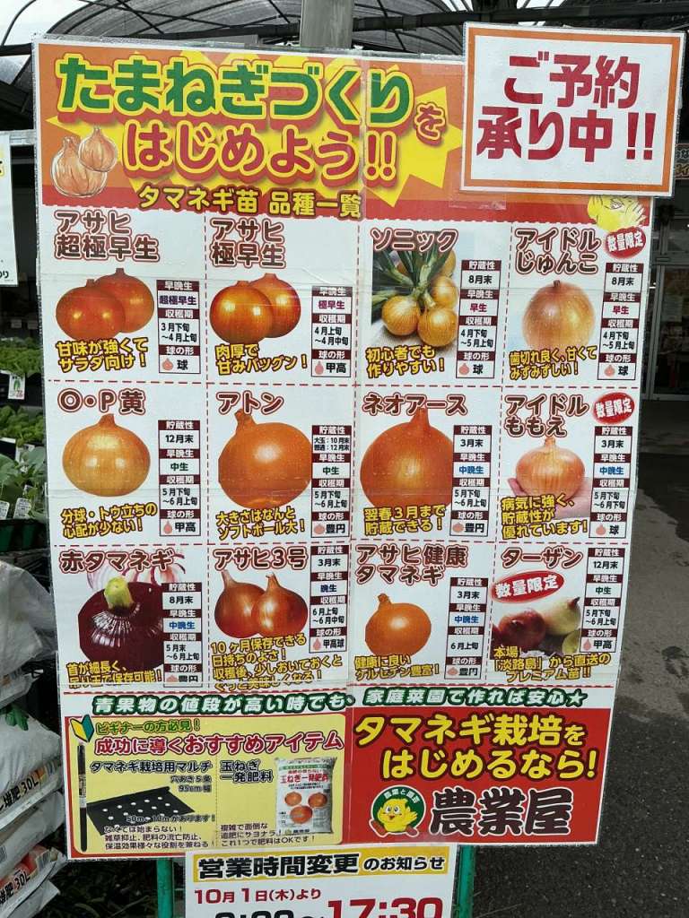 🧅玉ねぎ苗予約受付中！🧅