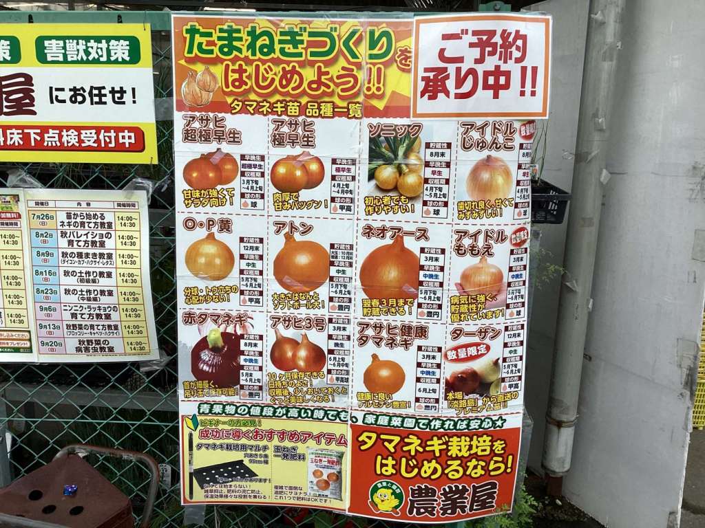 玉ねぎ苗の予約受付中！
