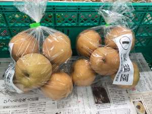 決算セール開催中‼️