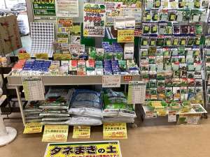 長雨は種まきチャンス！