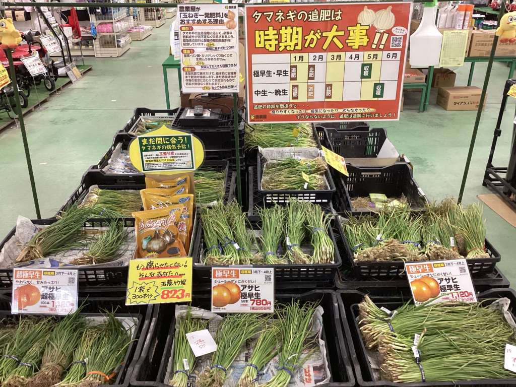 🧅{タマネギ苗入荷しました！