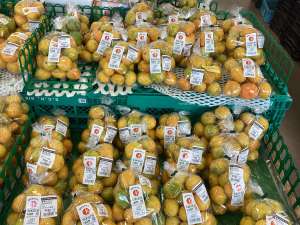 みかん大量入荷🍊