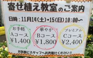 パンジー・ビオラ入荷中♪