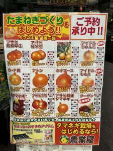 玉ねぎ苗まだまだ予約受付中！！