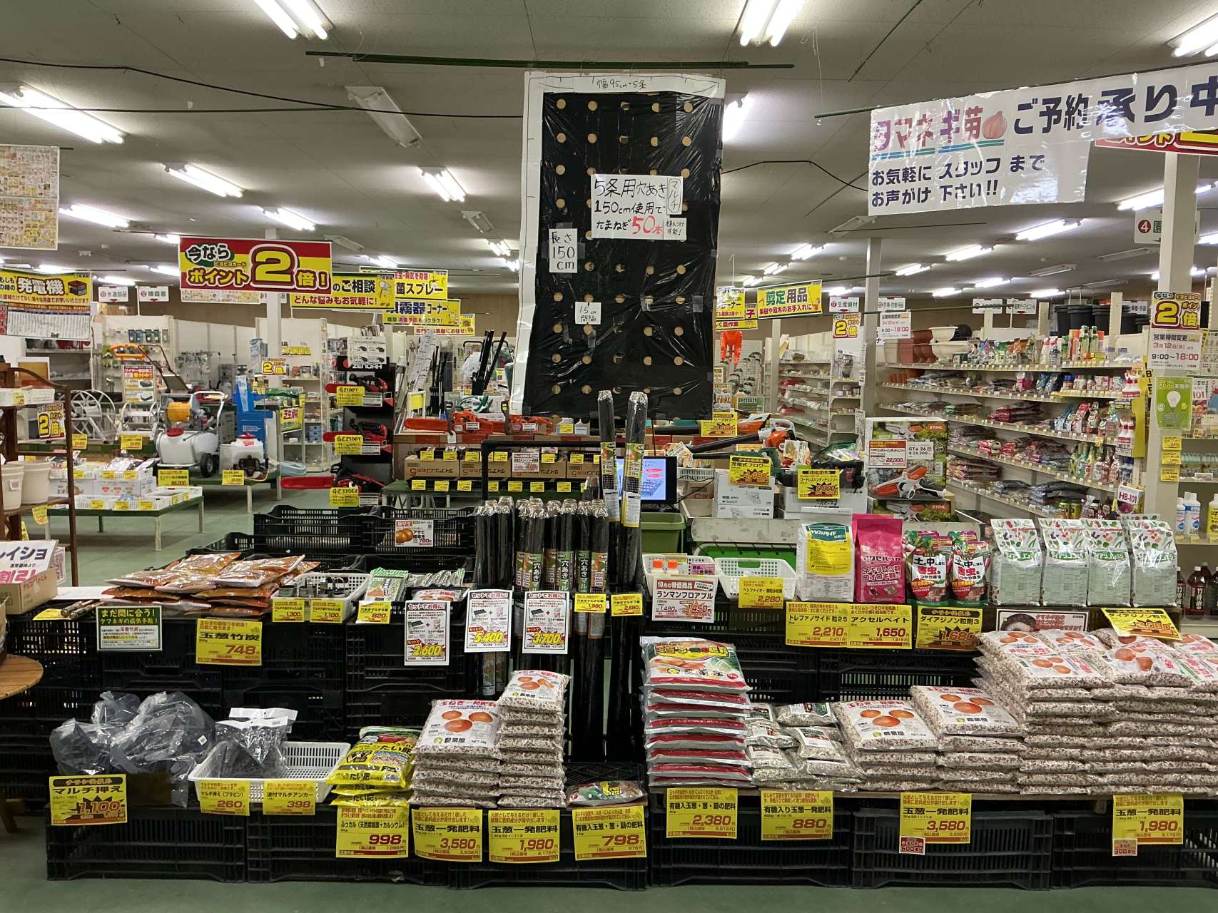 タマネギ苗近日入荷！