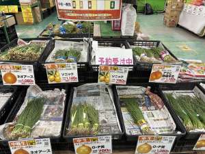 玉ねぎ続々と入荷中です！！