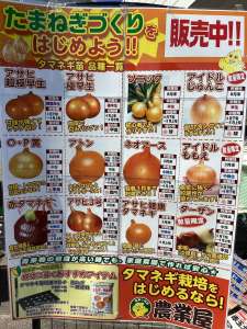 玉ねぎ苗🧅　近日入荷します‼️