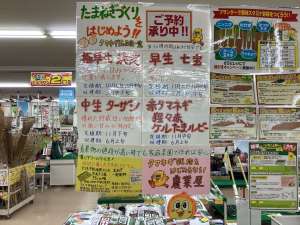 まもなく入荷🧅