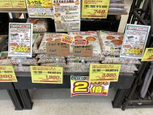 タマネギの肥料はこれ！！